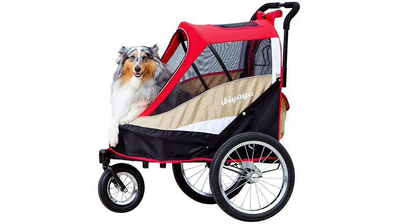 dog carriage bike