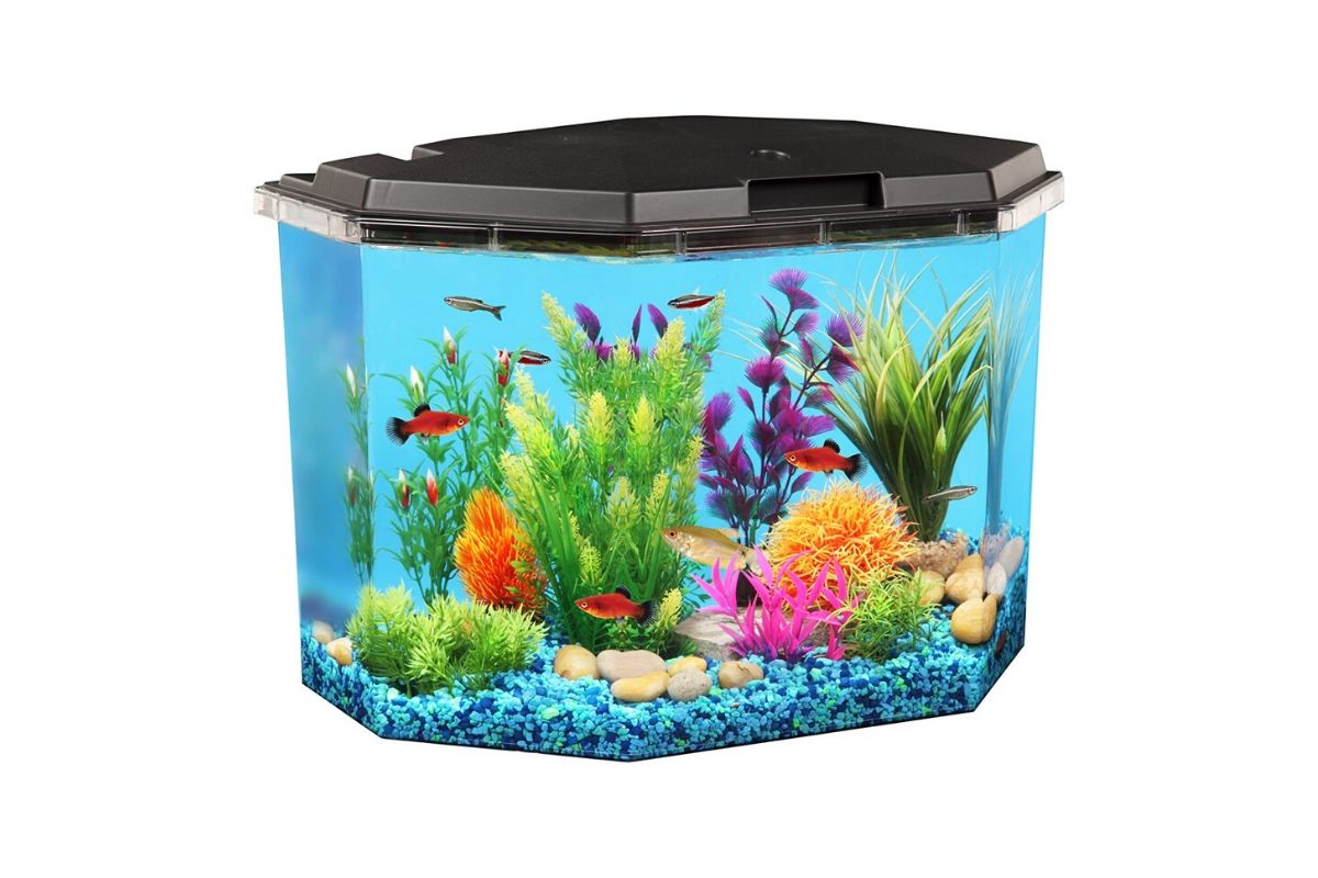 Aquarium Komplett 500l