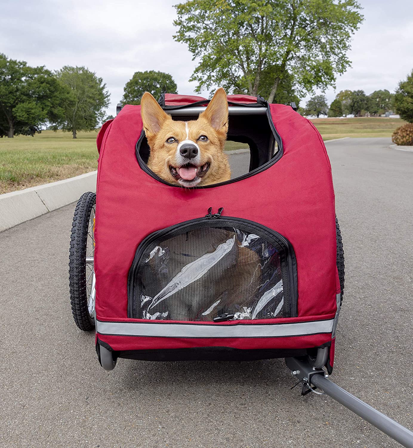 9 Best Dog Bike Trailers: Compare, Buy & Save (2021 ...