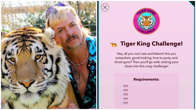 Tiger King Challenge BitLife