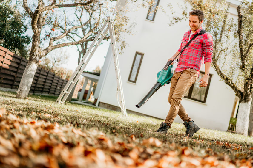 15 Best Cordless Leaf Blowers: Easy Buying Guide (2020) | Heavy.com