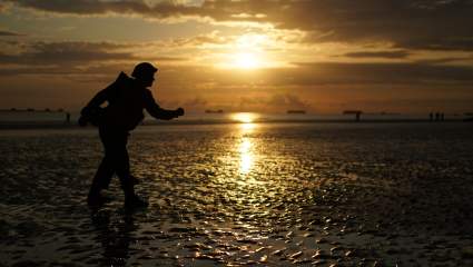 WATCH: Vikings Share Veterans Voyage Video to Normandy