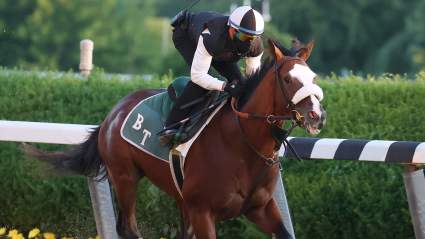 Belmont Results: Betting Payouts for Trifecta, Exacta & Superfecta