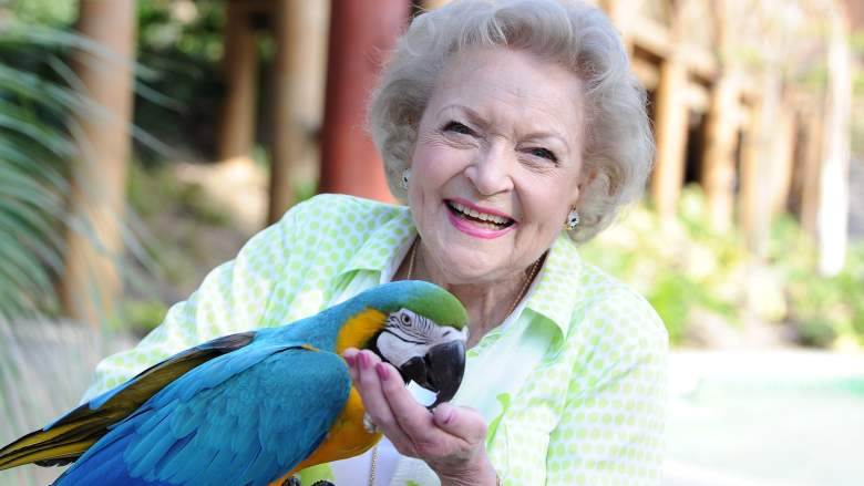 Actress Betty White attends the Greater Los Angeles Zoo Association's (GLAZA) 44th Annual Beastly Ball at Los Angeles Zoo on June 14, 2014 in Los Angeles, California.
