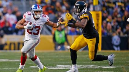Former Steelers LB Donates Humongous Sum to Alma Mater