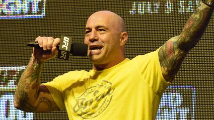 Joe Rogan and More React To Historic KO [WATCH]