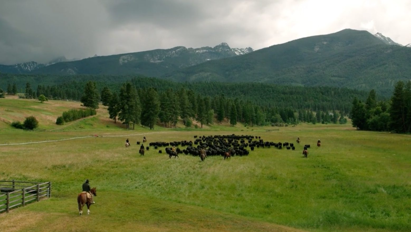 Yellowstone' Season 3 Episode 1 Review: A Beautiful Return, But Troubl...