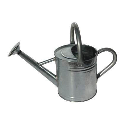 galvanized watering can