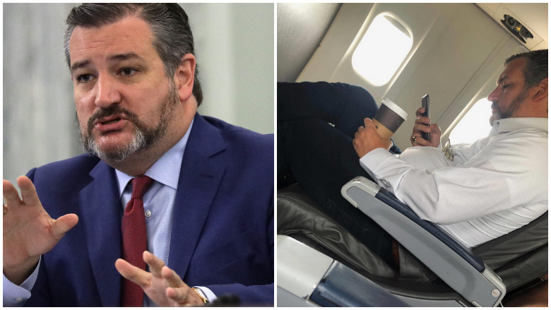 ted cruz american airlines