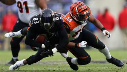 Vikings Sign Former Bengals LB, Son of 5x Buccaneers Pro-Bowler