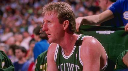 Yes, There is a Tomato That Looks Just Like Larry Bird & the Internet Loves It