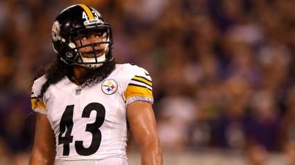 Troy Polamalu to Advise NFL Commissioner: Report