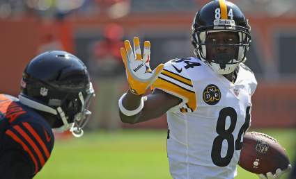 Bears Listed Among Potential Favorites to Land WR Antonio Brown