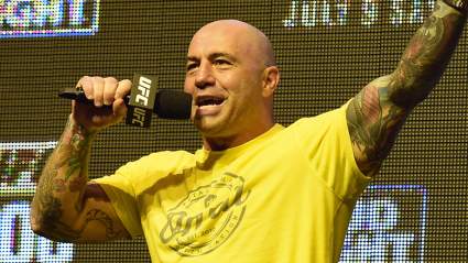 Joe Rogan: ‘We Got Wild With This One’