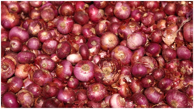 Salmonella Outbreak Red Onions Symptoms