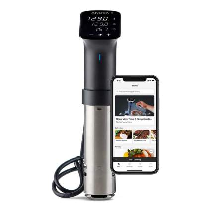 Smart sous vide with smartphone