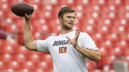 Patriots Sign QB Even Bigger Than Cam Newton