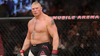 UFC Star Thinks He Should Fight Brock Lesnar: ‘100 Percent’