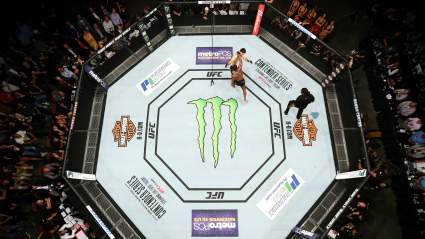 Ex-UFC Champion: ‘I Might Punch Him in the Sack’
