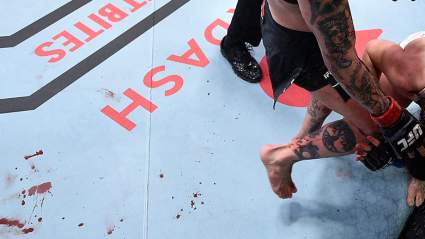 Bloody Chaos in UFC: ‘I Never Waved the Fight Off’