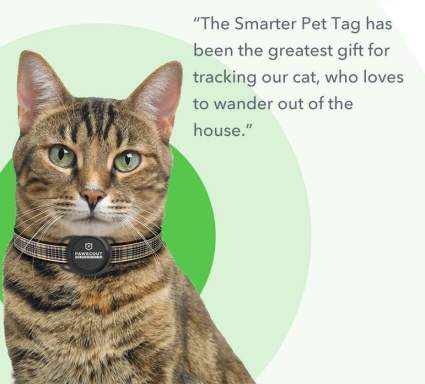 Smart Pet Tag