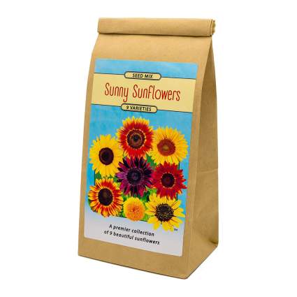 Bag of sunflower seeds for planting