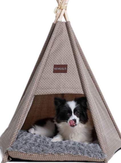 Dog camping tent