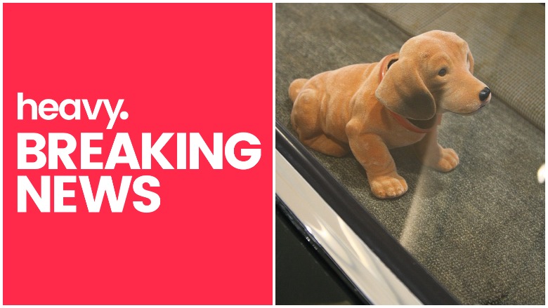 Dachshund Bobblehead History: 5 Fast Facts You Need to Know