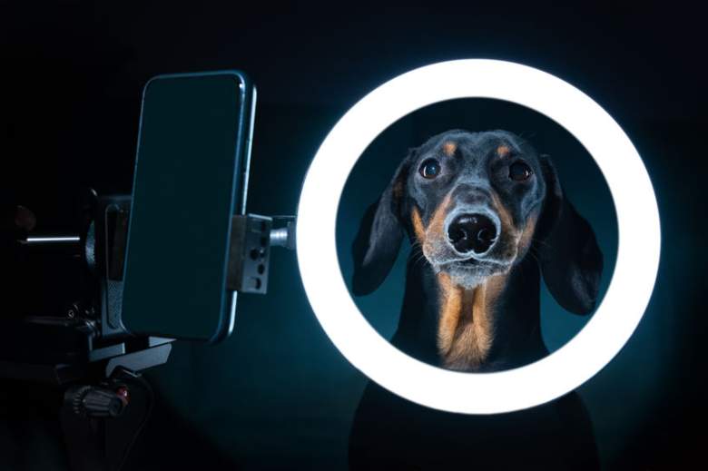 save on ring light kits prime day