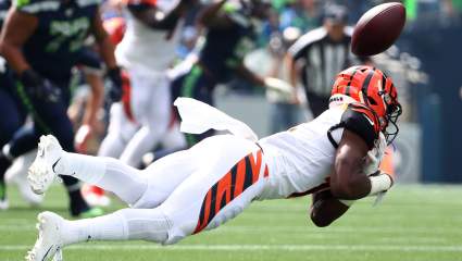Bears Urged to Trade for Frustrated Bengals WR