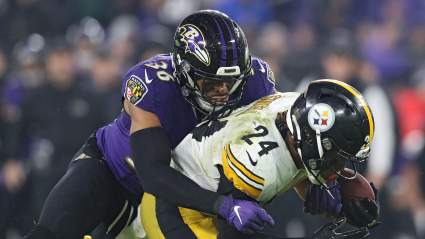Former NFL Coach Makes Revealing Prediction About AFC North Champion