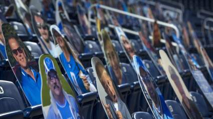 Lions Have Hilarious Cutout in Stands for Last Home Game [LOOK]
