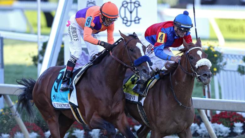premier sports betting results on preakness