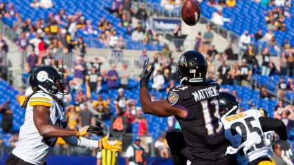 Former Steelers Try Out with Titans, Texans