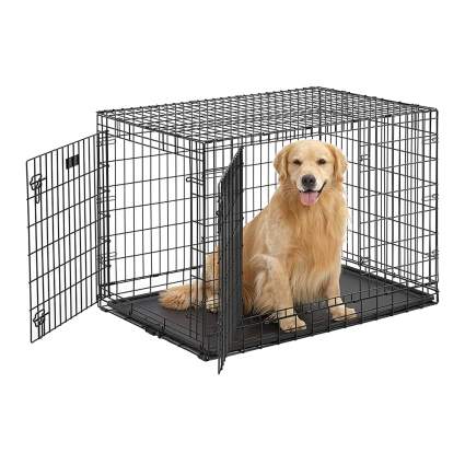 folding metal dog crate