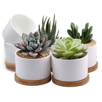 white ceramic succulent pots