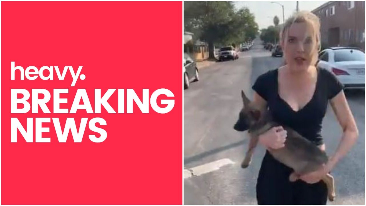 WATCH Woman Throws Dog at Man in Viral Confrontation