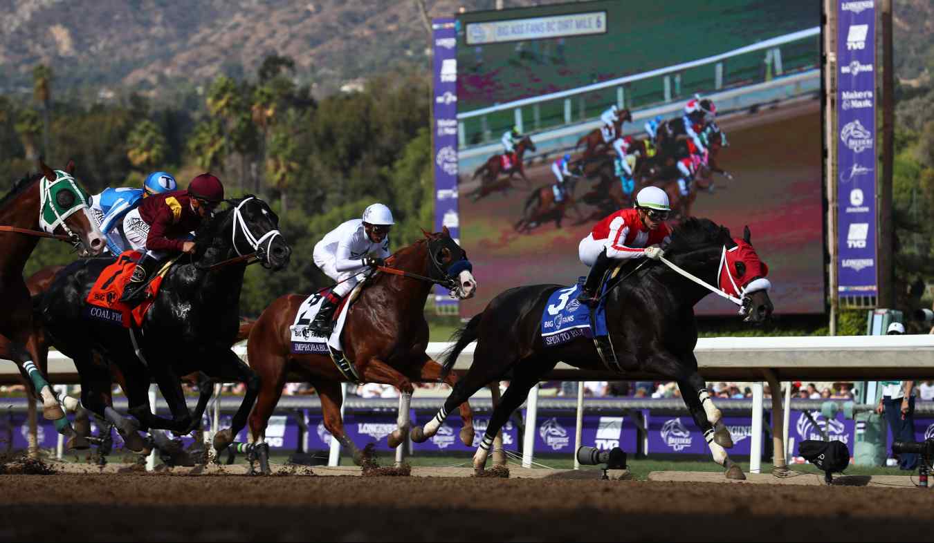 How to Watch All Breeders' Cup 2020 Races Online