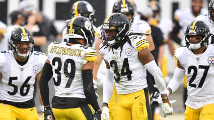 Fifth-Year Options Established for Steelers Safeties Minkah Fitzpatrick, Terrell Edmunds