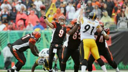 TJ Houshmandzadeh: Steelers ‘Purposely Hurt’ Carson Palmer