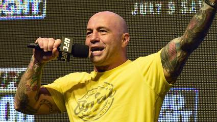 UFC’s ‘Martial Arts Assassin’ Wows Joe Rogan [LOOK]