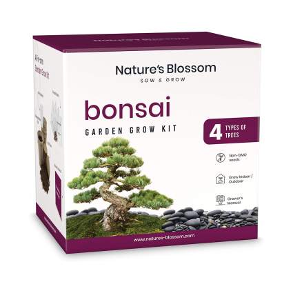 Nature's Blossom Bonsai Tree Seed Starter Kit
