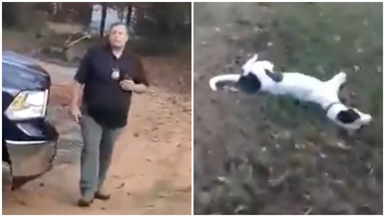 Arkansas sheriff shoots dog