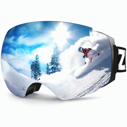 zionor x4 snowboard goggles