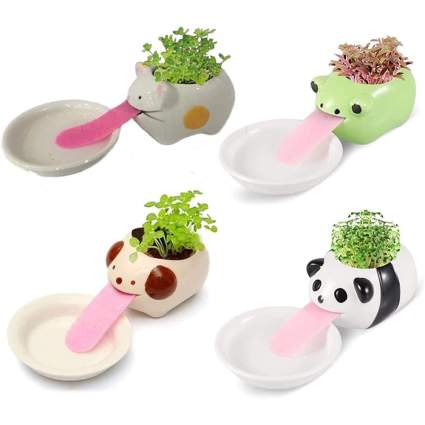 four mini animal shaped planter with selfl watering tongues in little water dishes