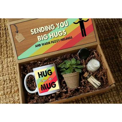 Thinking of you care package with mug and plant