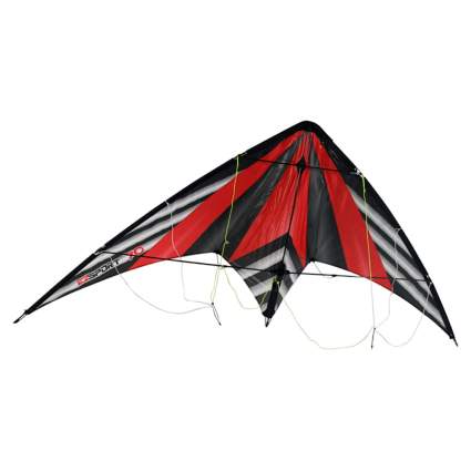 dual line stunt kite