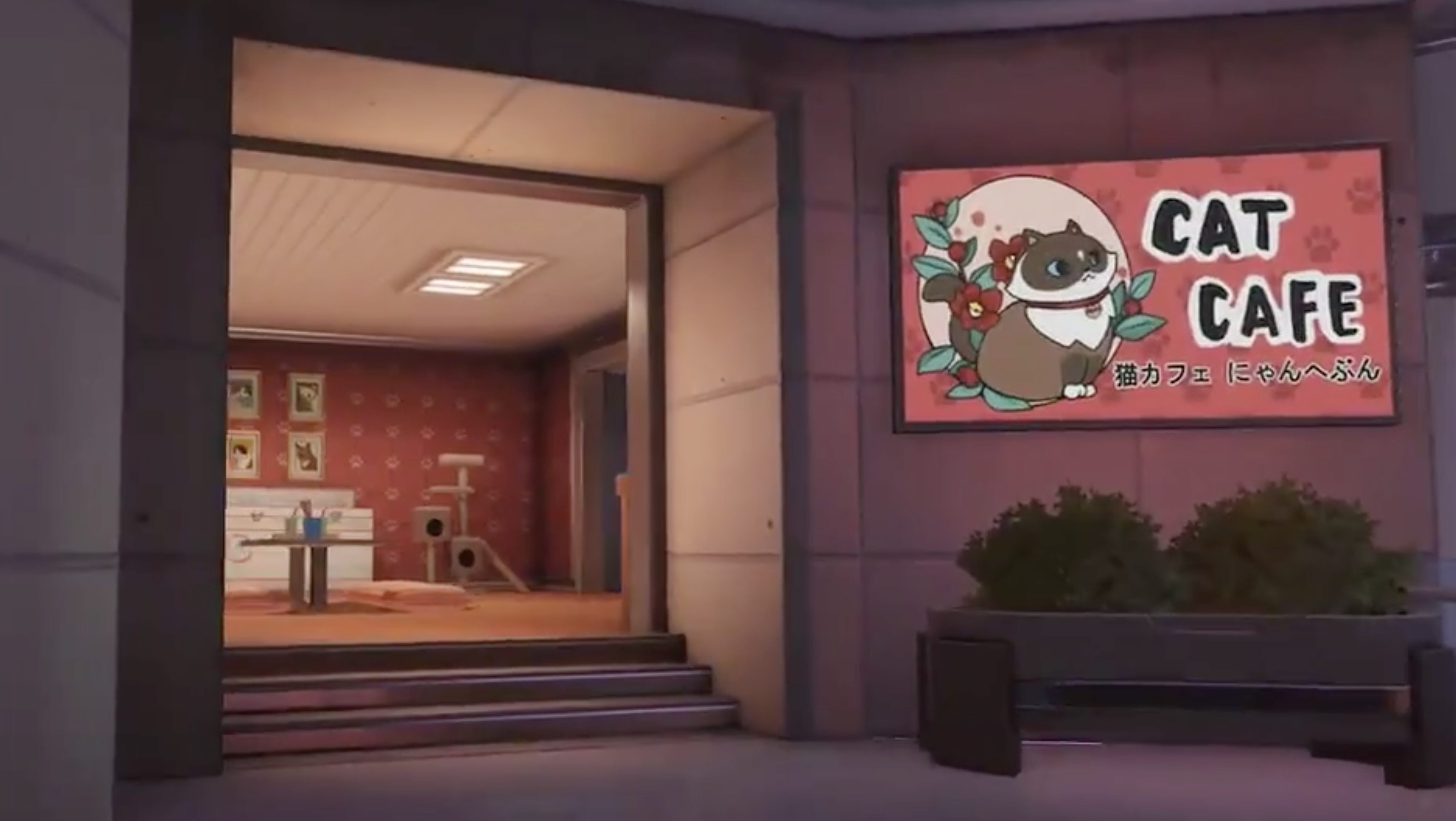 Cat Cafe Trends On Twitter After Overwatch S New Map Announcement Heavy Com