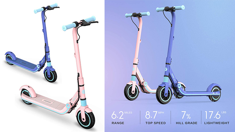 Ninebot best sale e8 scooter