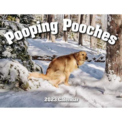 Calender of dogs pooping